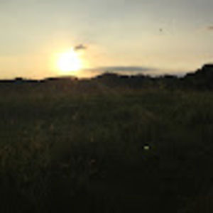 Meet your Posher, Clara